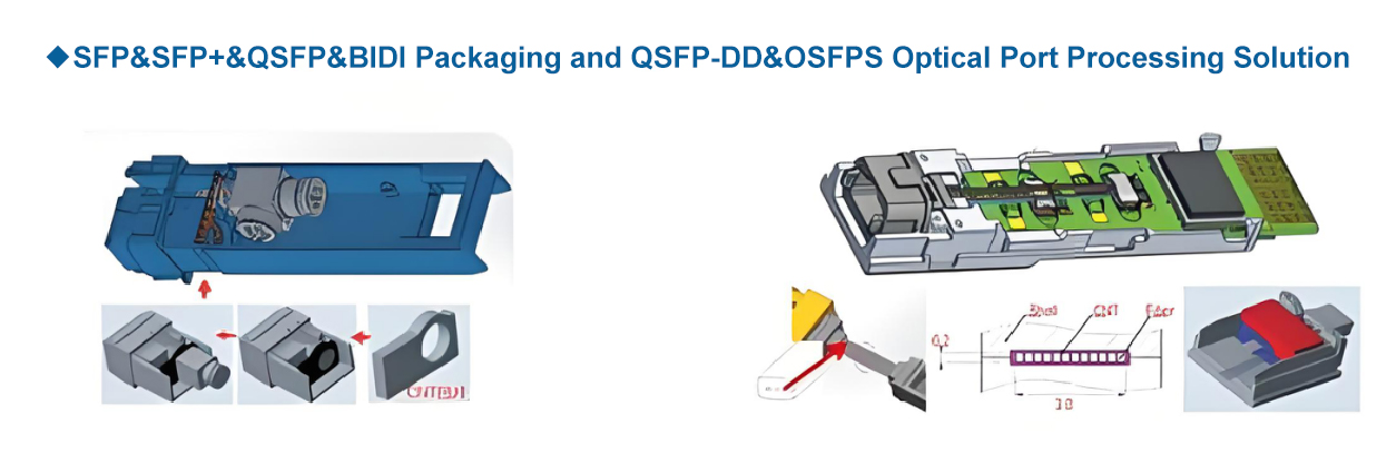 20241104105020767-英.jpg 20241104105020767-英.jpg